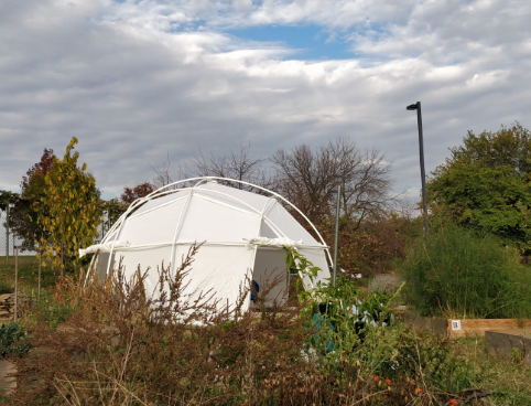 Dome in Garden